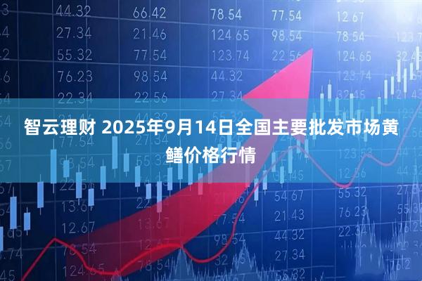 智云理财 2025年9月14日全国主要批发市场黄鳝价格行情