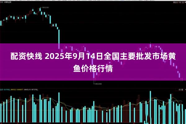 配资快线 2025年9月14日全国主要批发市场黄鱼价格行情