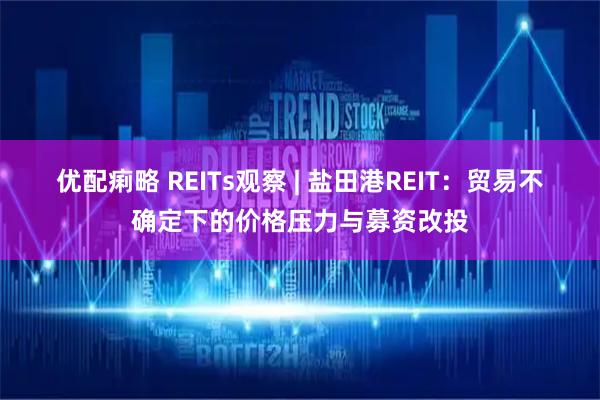 优配痢略 REITs观察 | 盐田港REIT：贸易不确定下的价格压力与募资改投