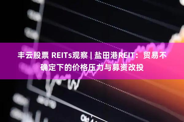 丰云股票 REITs观察 | 盐田港REIT：贸易不确定下的价格压力与募资改投