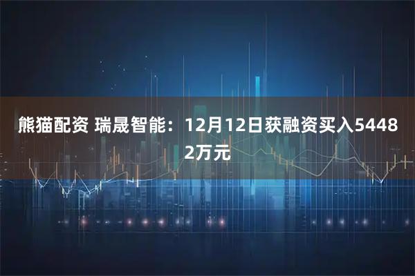 熊猫配资 瑞晟智能：12月12日获融资买入54482万元